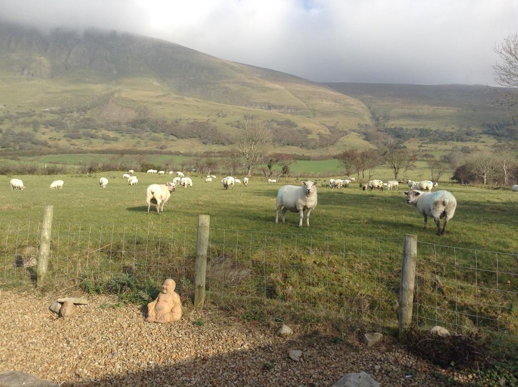 Benbulben Farmhouse B&B Drumcliff Екстериор снимка